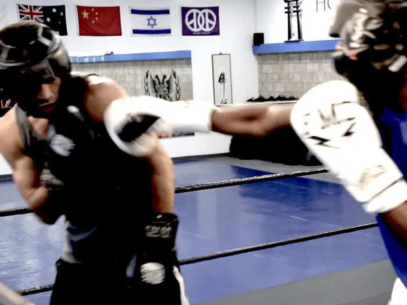 Martial Arts School Near Me in San Fernando Valley | House of Champions Academy