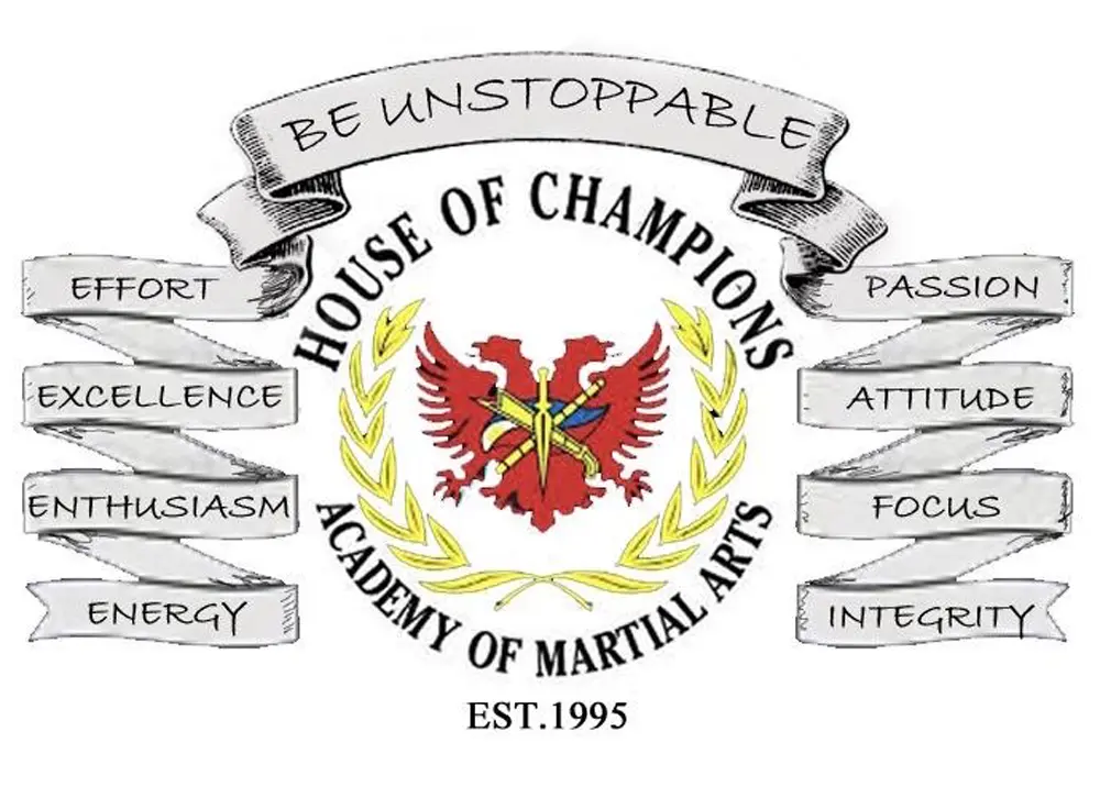 Martial Arts School Near Me in San Fernando Valley | House of Champions Academy